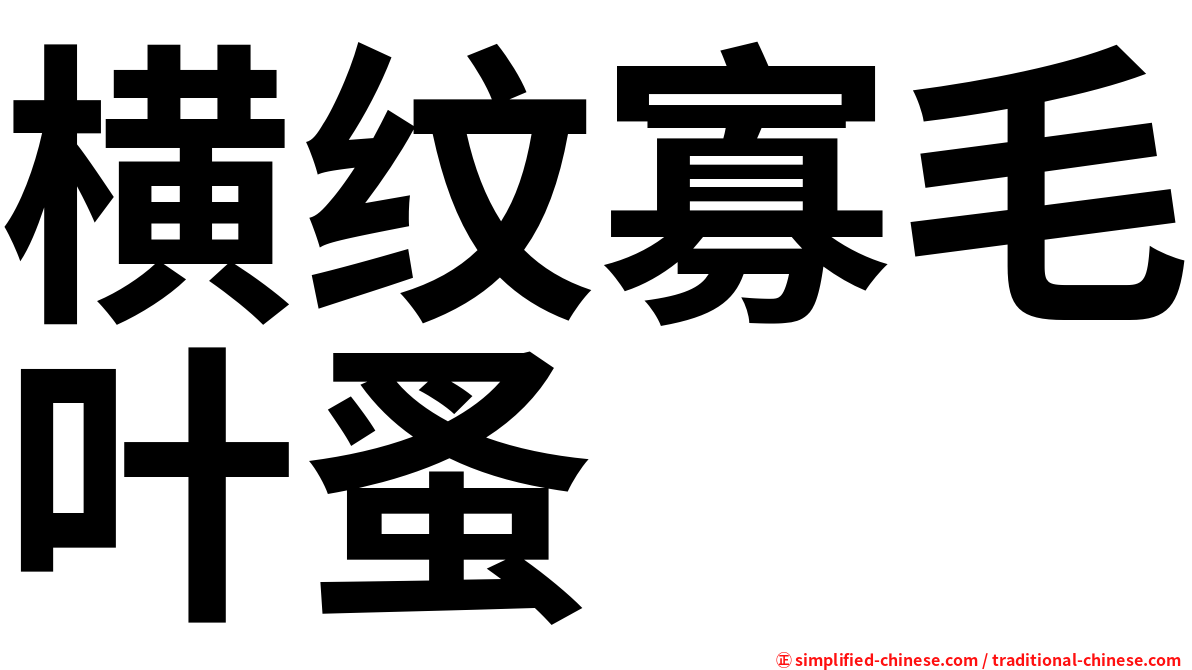 横纹寡毛叶蚤