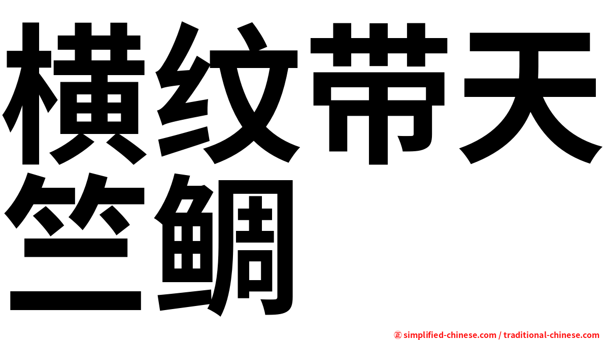 横纹带天竺鲷