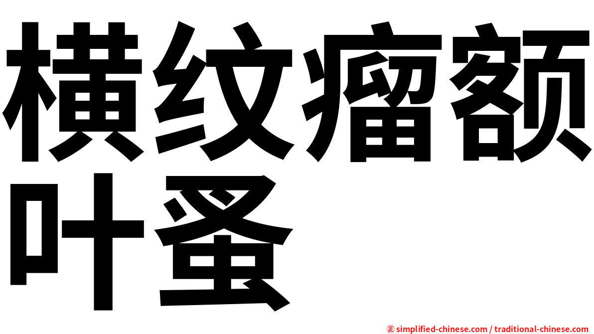 横纹瘤额叶蚤