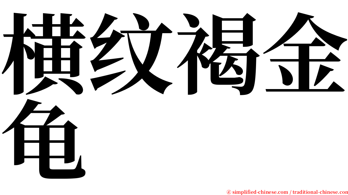 横纹褐金龟 serif font