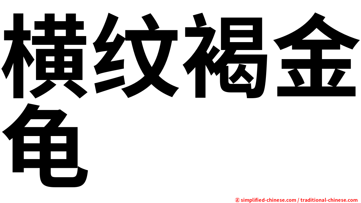 横纹褐金龟