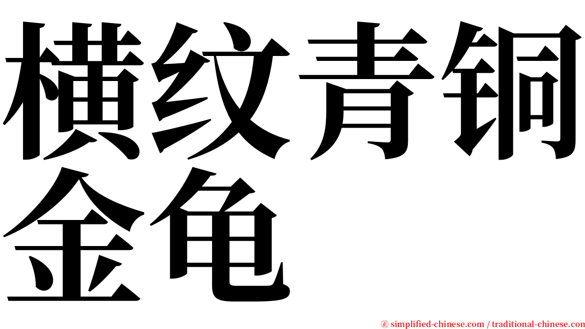 横纹青铜金龟 serif font