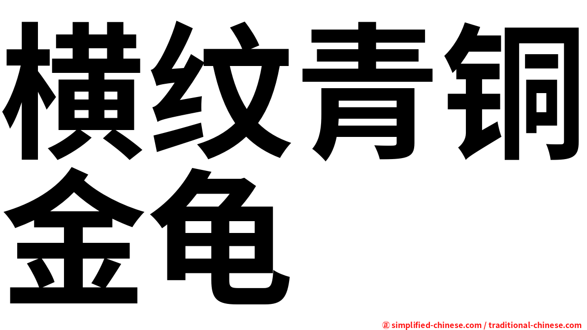 横纹青铜金龟
