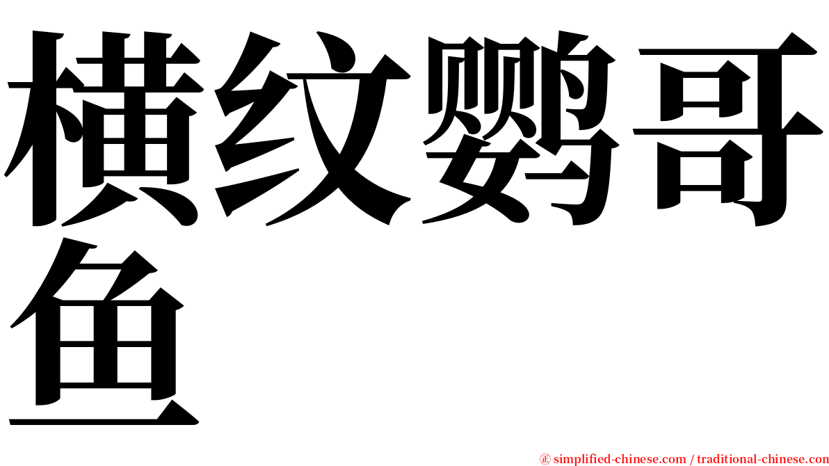 横纹鹦哥鱼 serif font