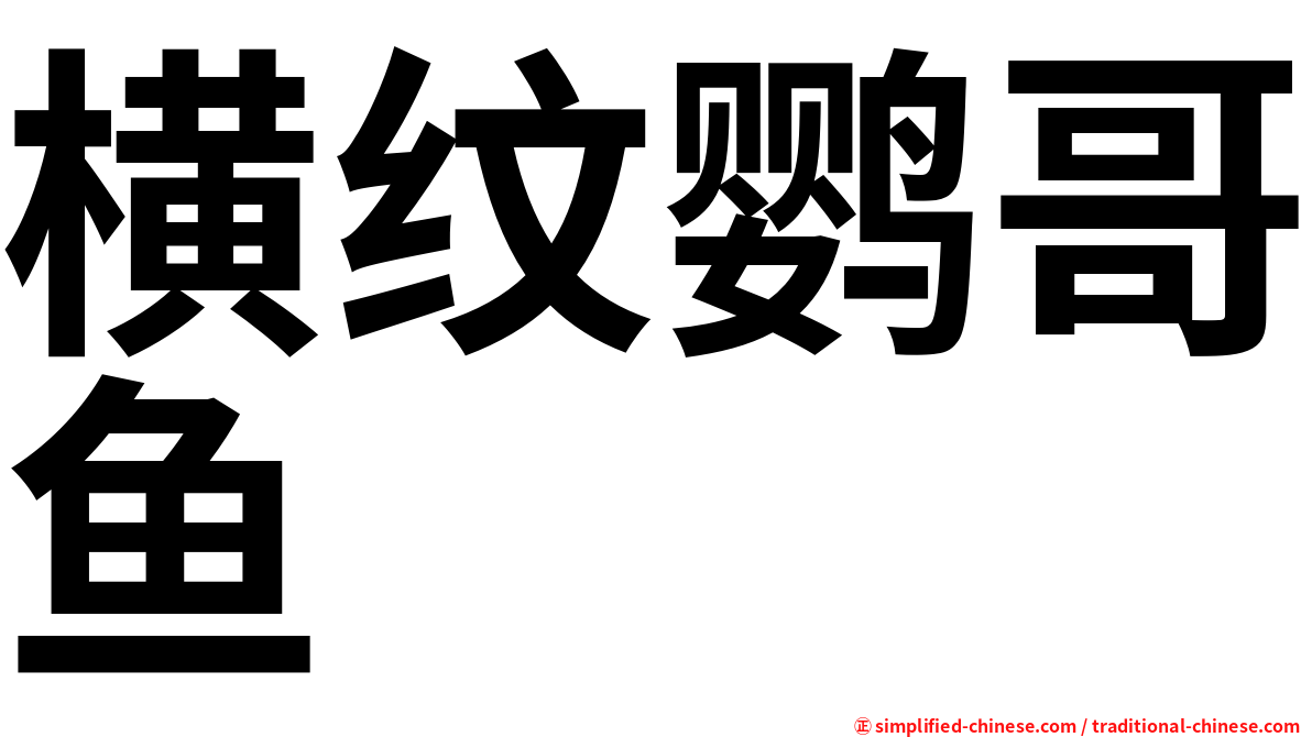 横纹鹦哥鱼