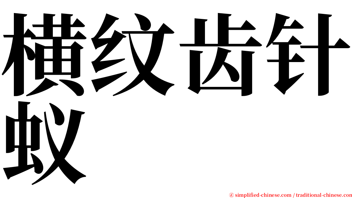横纹齿针蚁 serif font