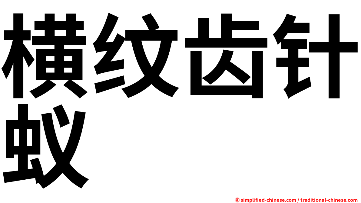 横纹齿针蚁