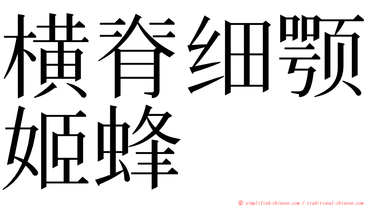横脊细颚姬蜂 ming font