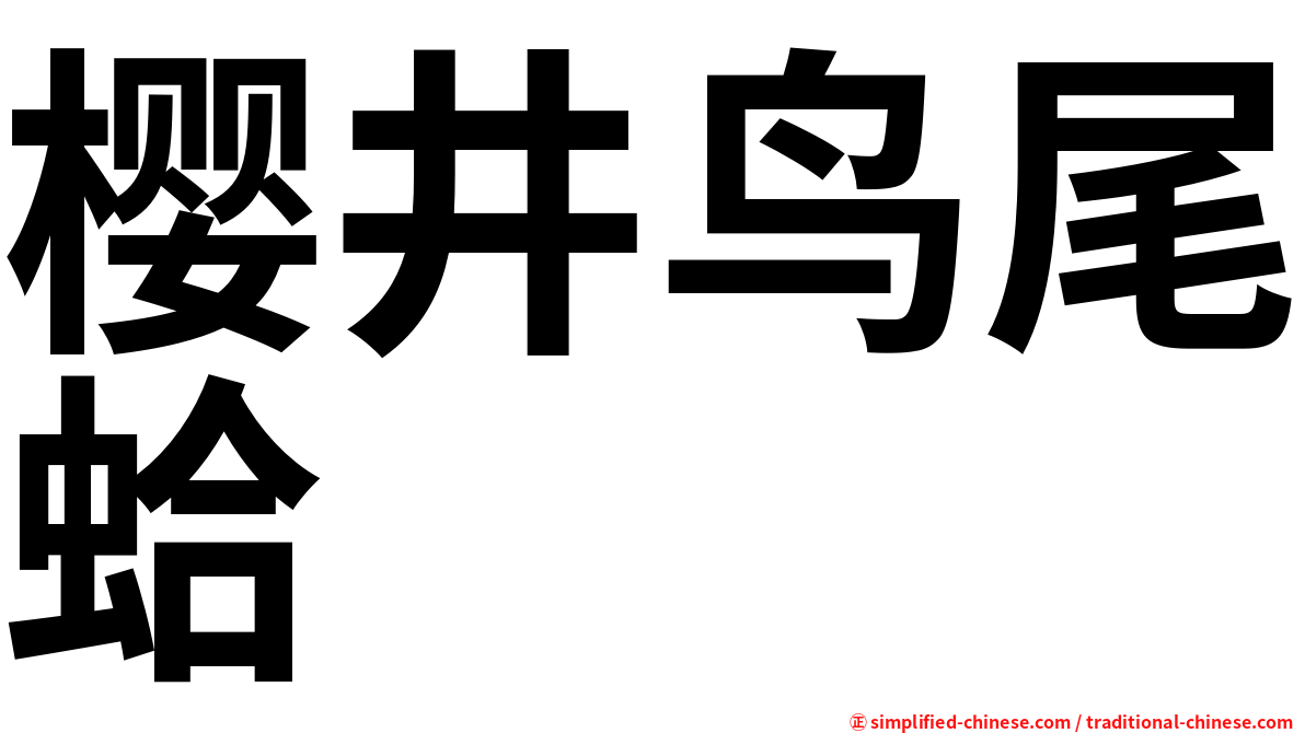 樱井鸟尾蛤