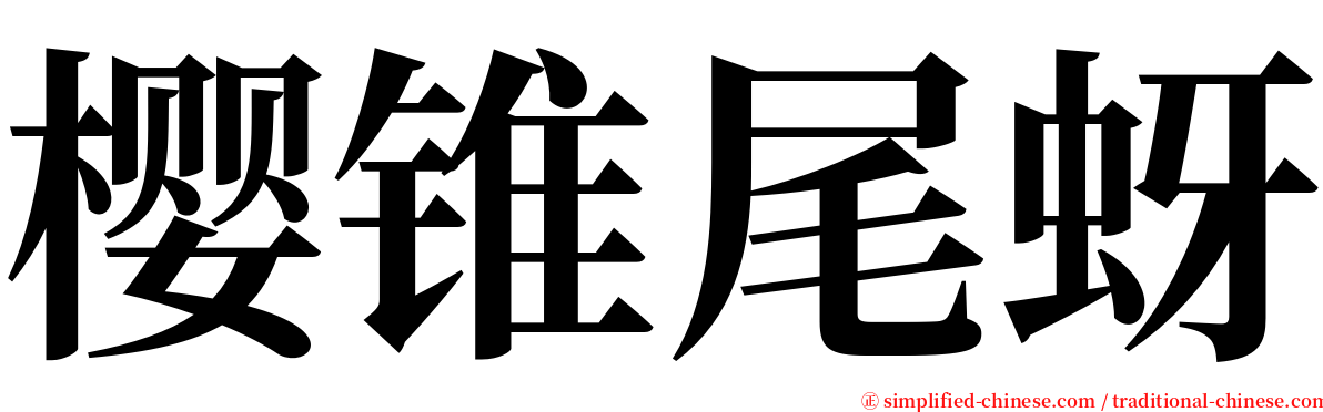 樱锥尾蚜 serif font