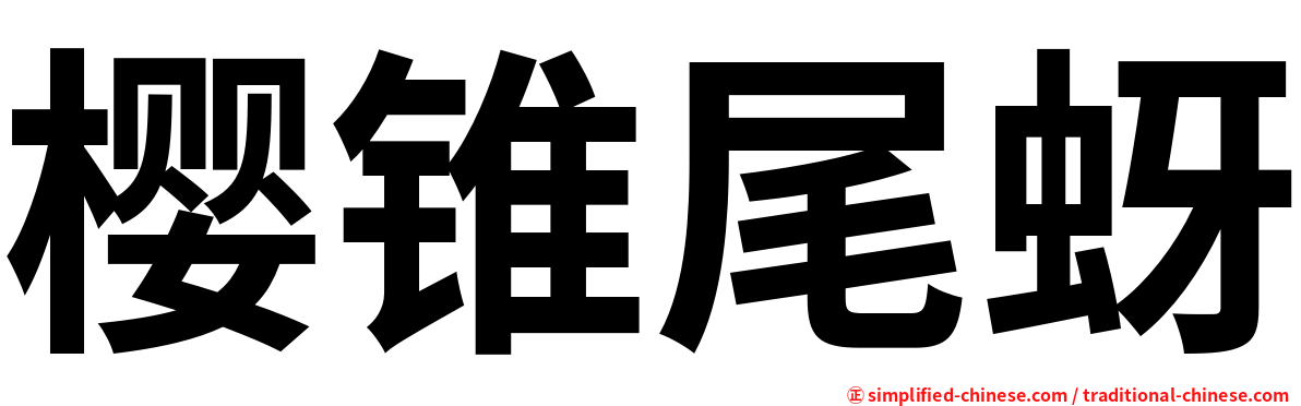 樱锥尾蚜