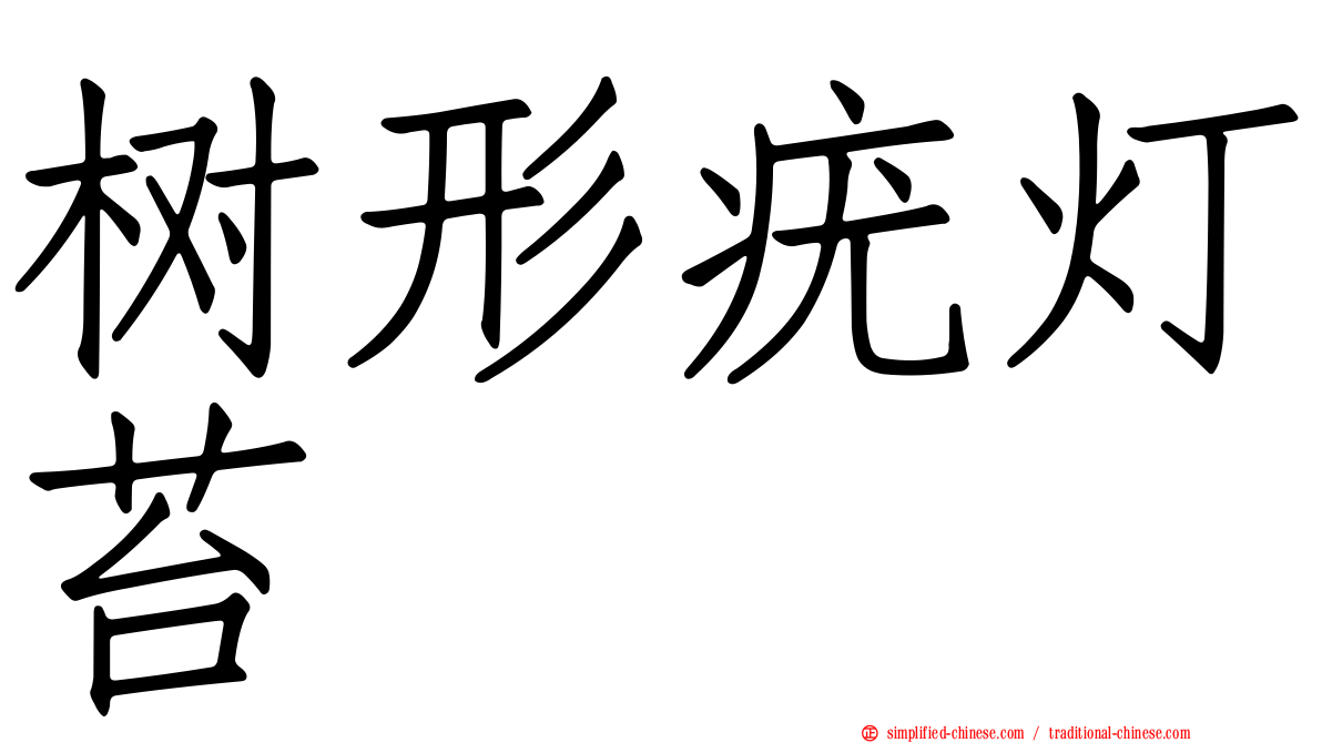 树形疣灯苔