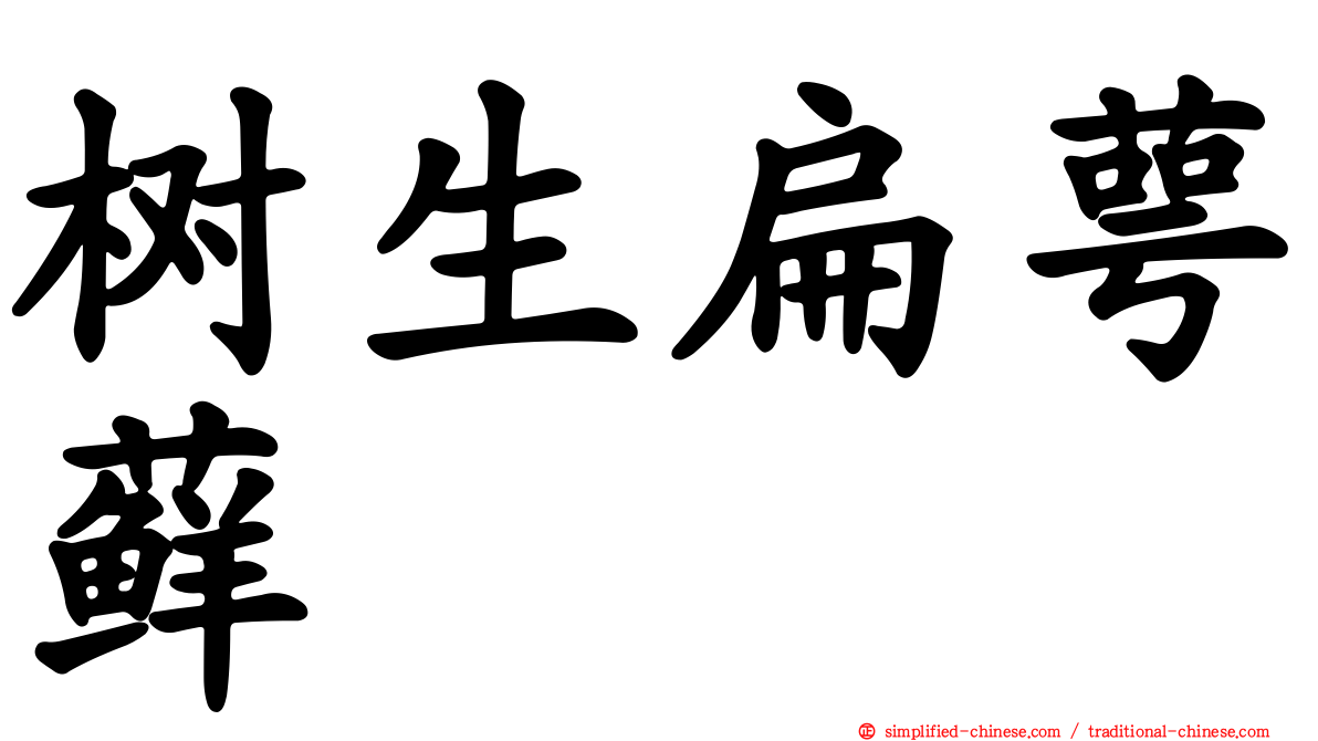 树生扁萼藓