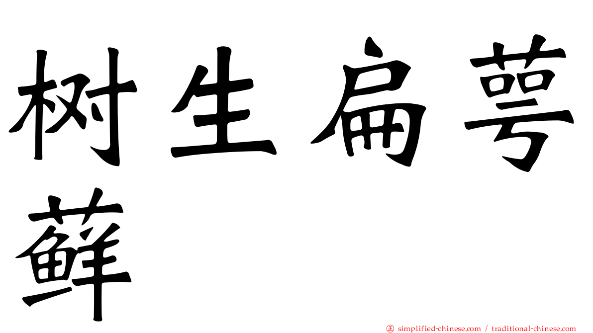 树生扁萼藓