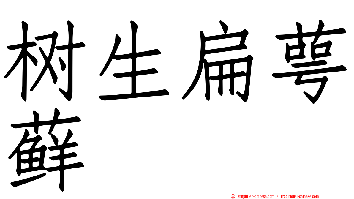 树生扁萼藓
