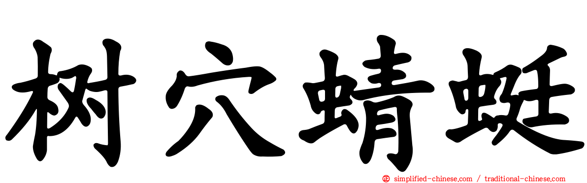 树穴蜻蜓