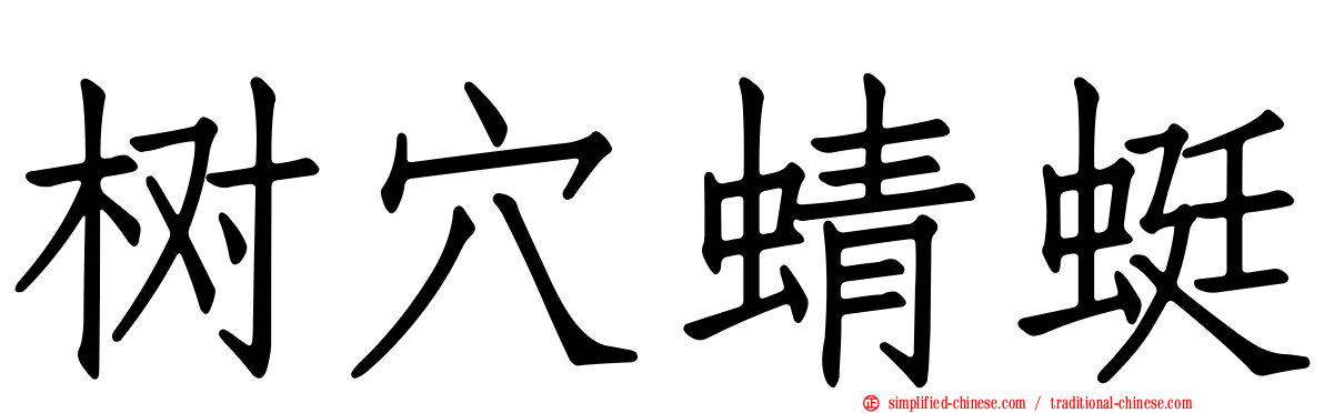 树穴蜻蜓