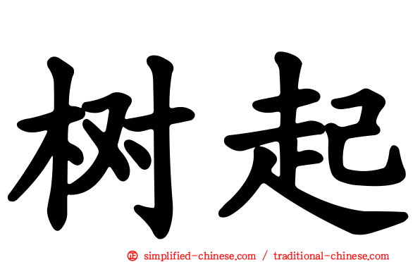 树起