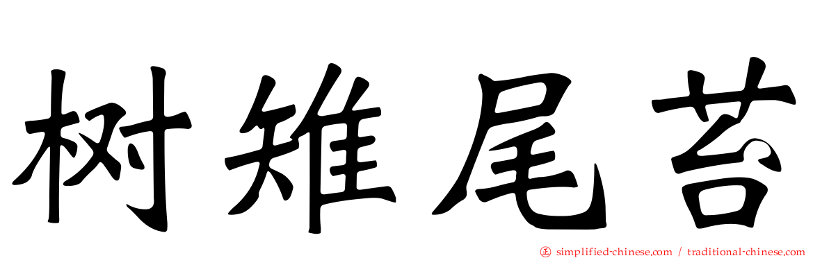 树雉尾苔
