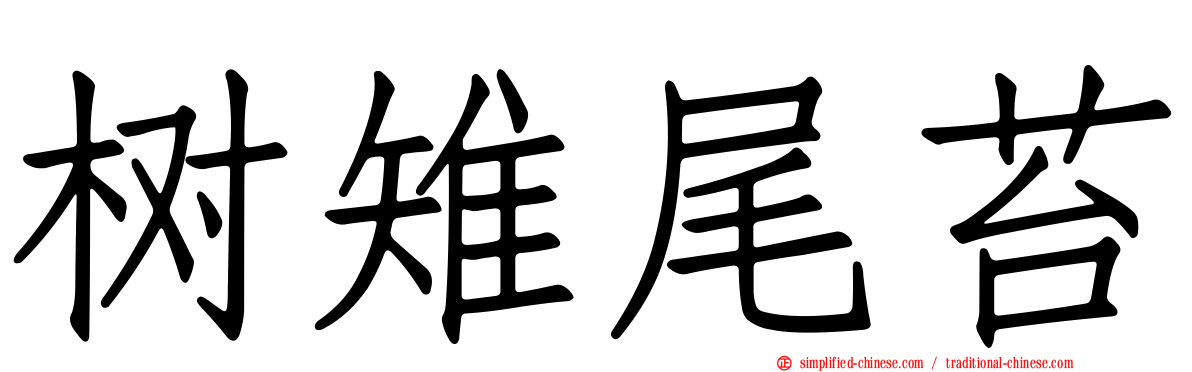 树雉尾苔