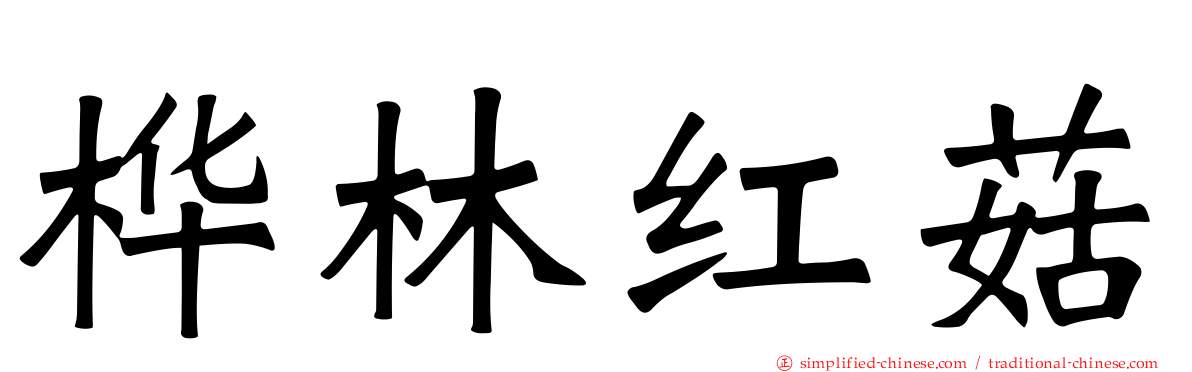 桦林红菇
