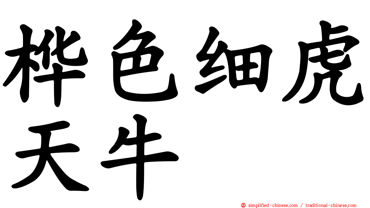 桦色细虎天牛