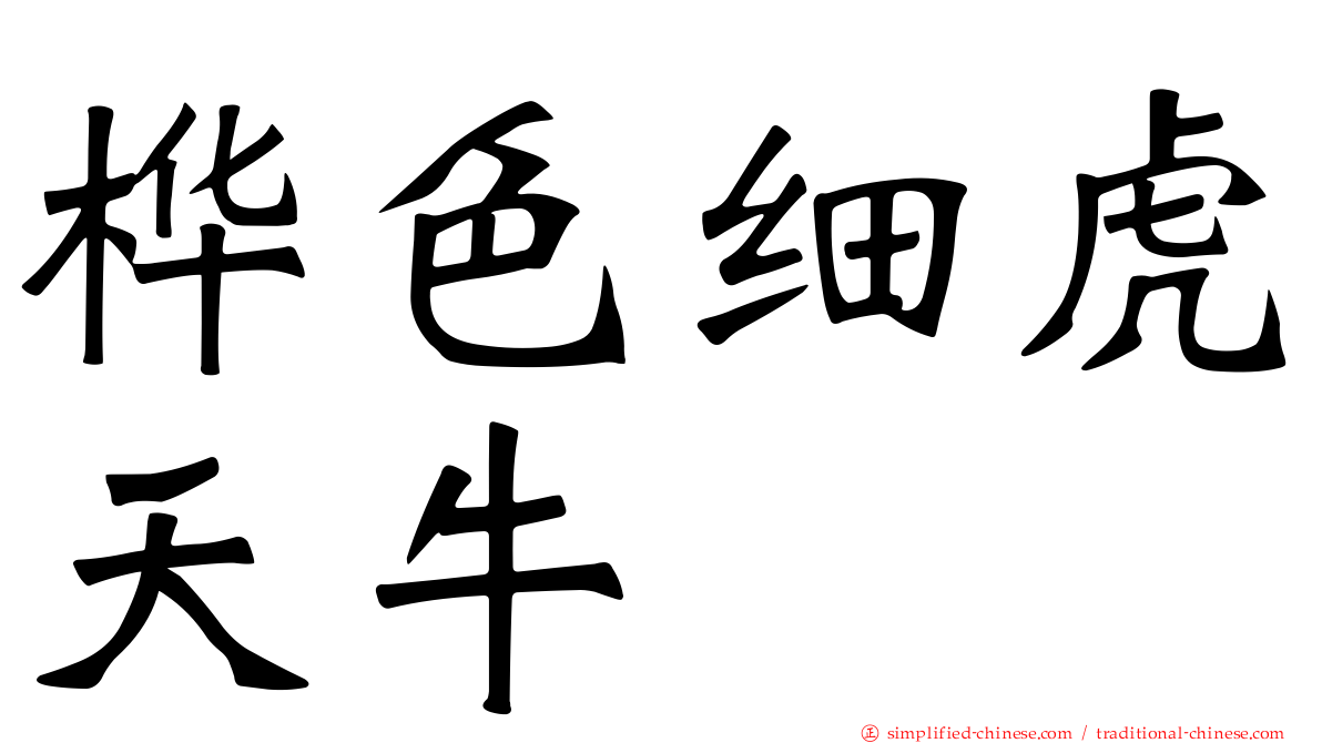桦色细虎天牛