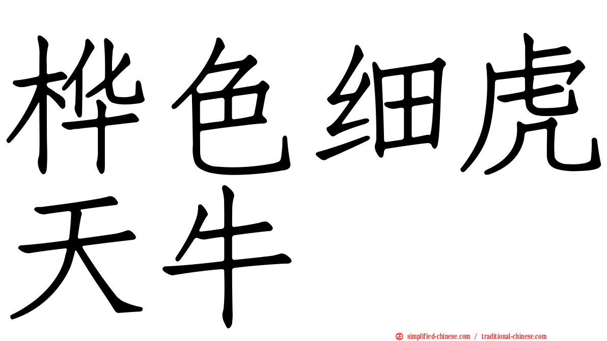 桦色细虎天牛