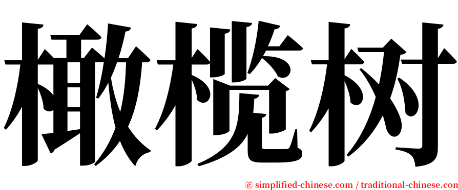 橄榄树 serif font