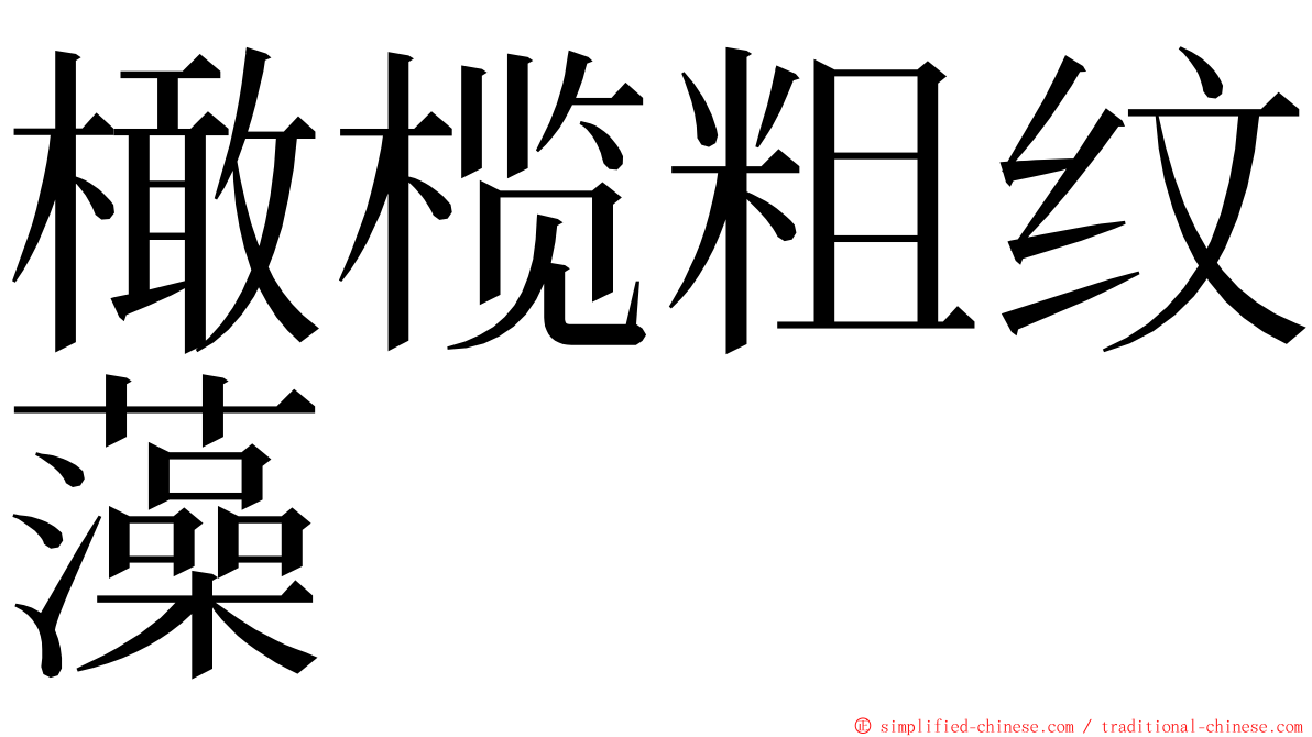 橄榄粗纹藻 ming font