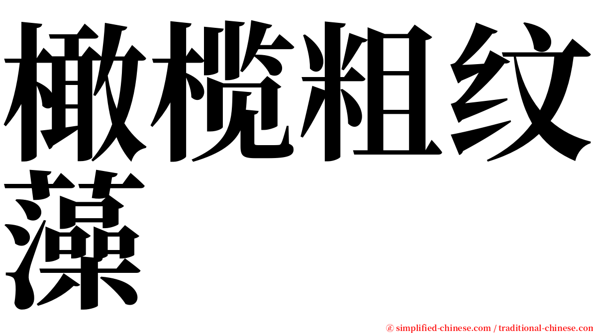 橄榄粗纹藻 serif font