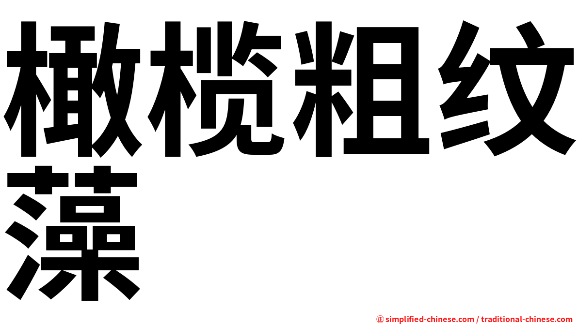 橄榄粗纹藻