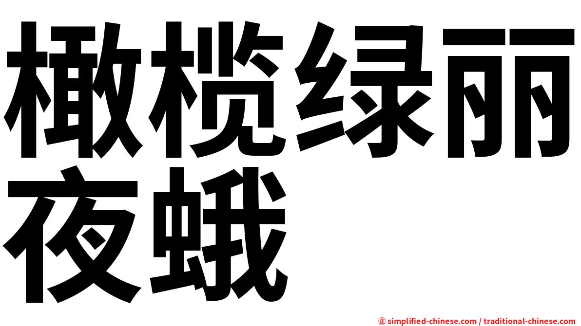 橄榄绿丽夜蛾