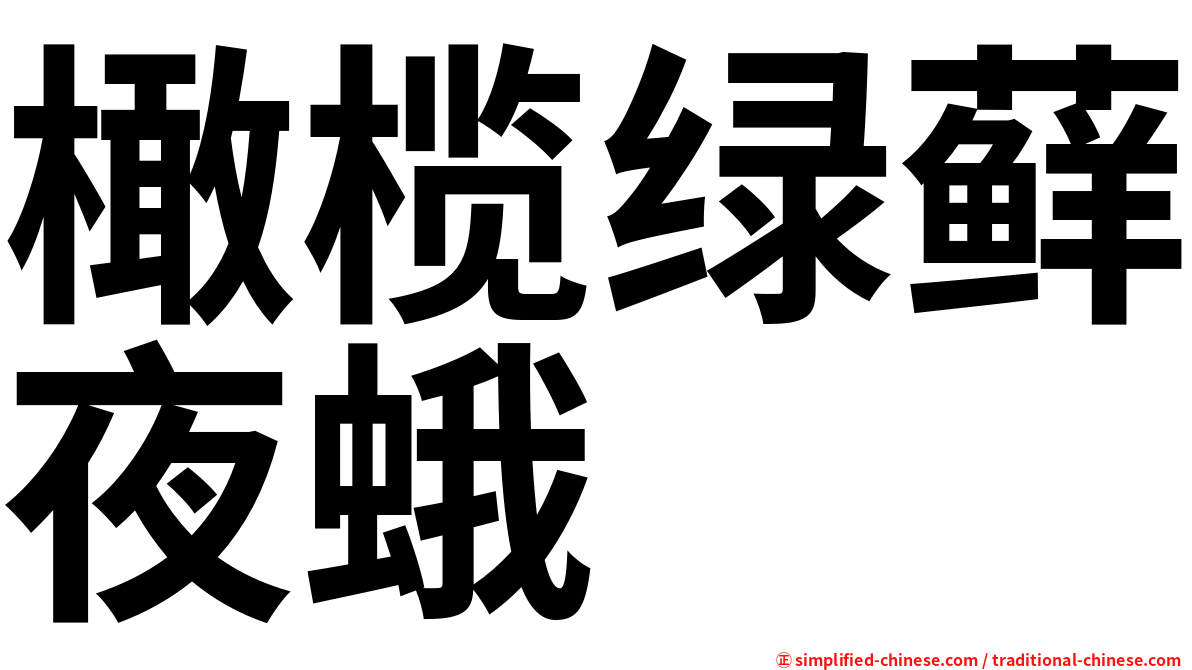 橄榄绿藓夜蛾