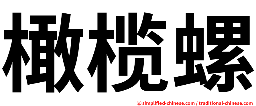 橄榄螺