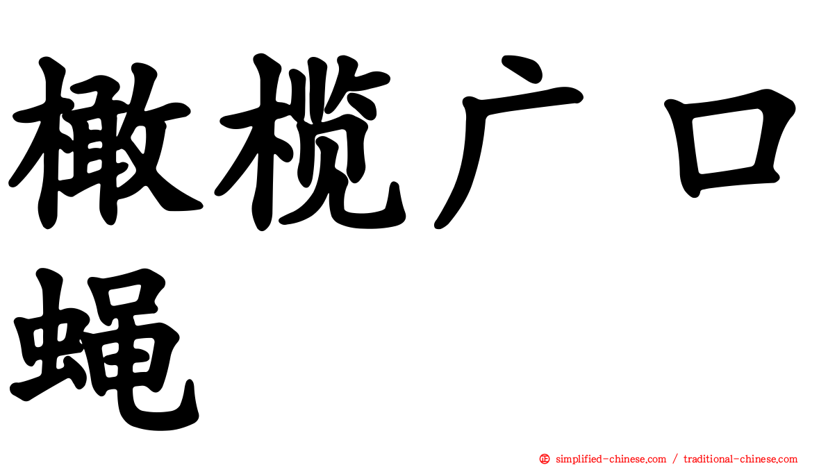 橄榄广口蝇