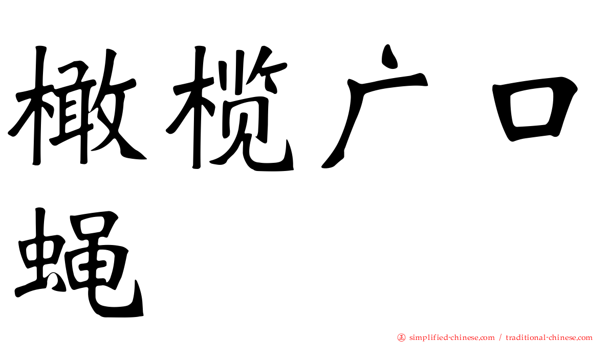 橄榄广口蝇