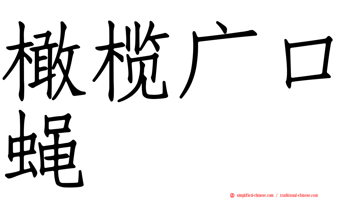 橄榄广口蝇