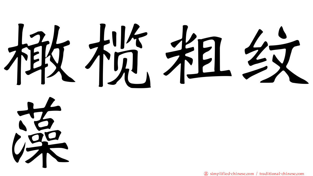 橄榄粗纹藻