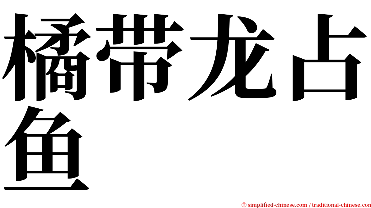 橘带龙占鱼 serif font