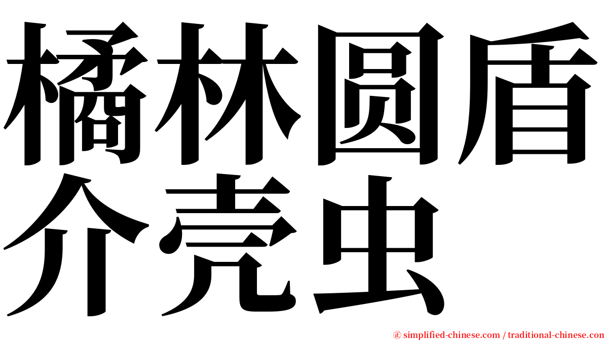 橘林圆盾介壳虫 serif font