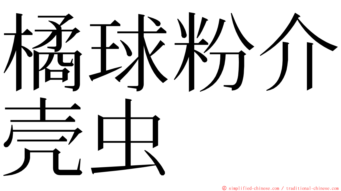 橘球粉介壳虫 ming font