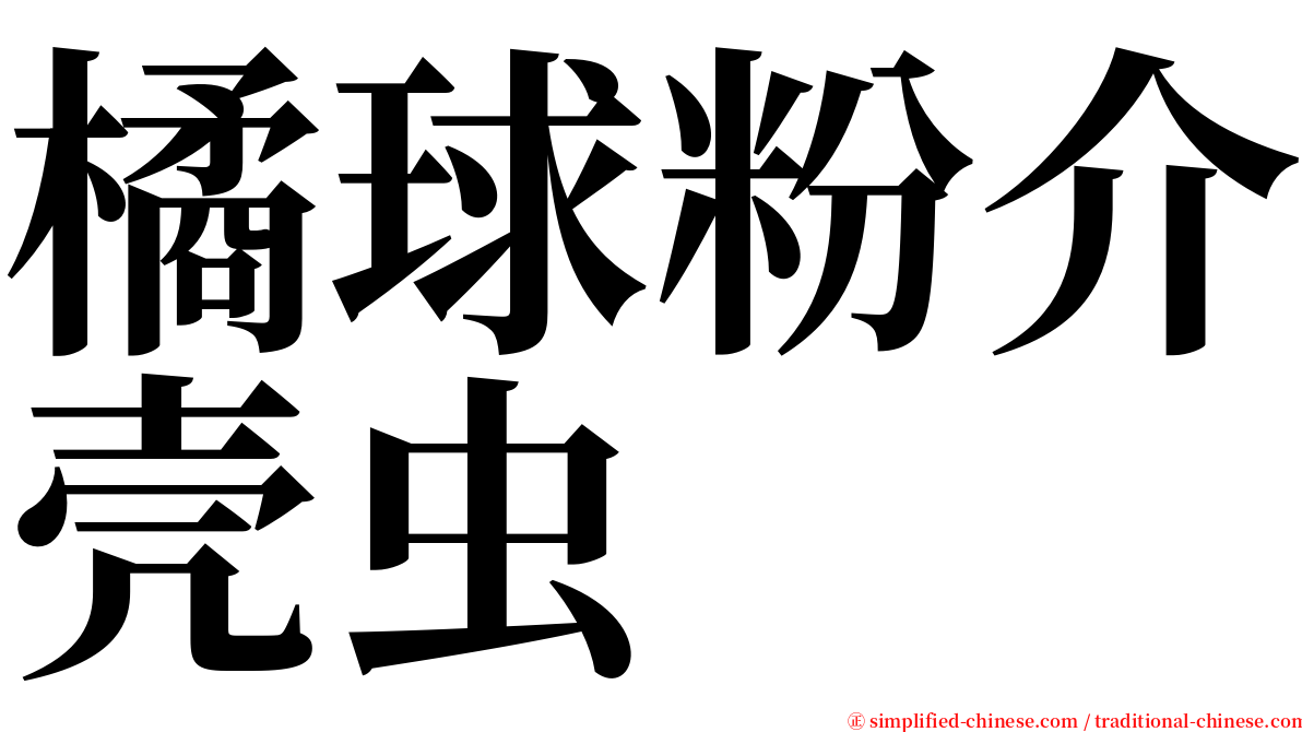 橘球粉介壳虫 serif font