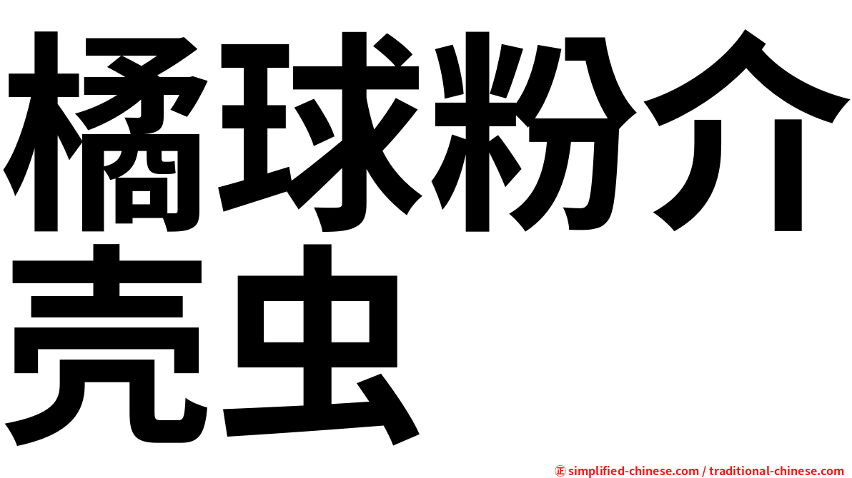 橘球粉介壳虫