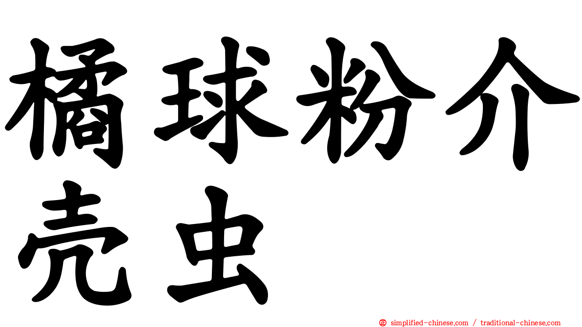 橘球粉介壳虫
