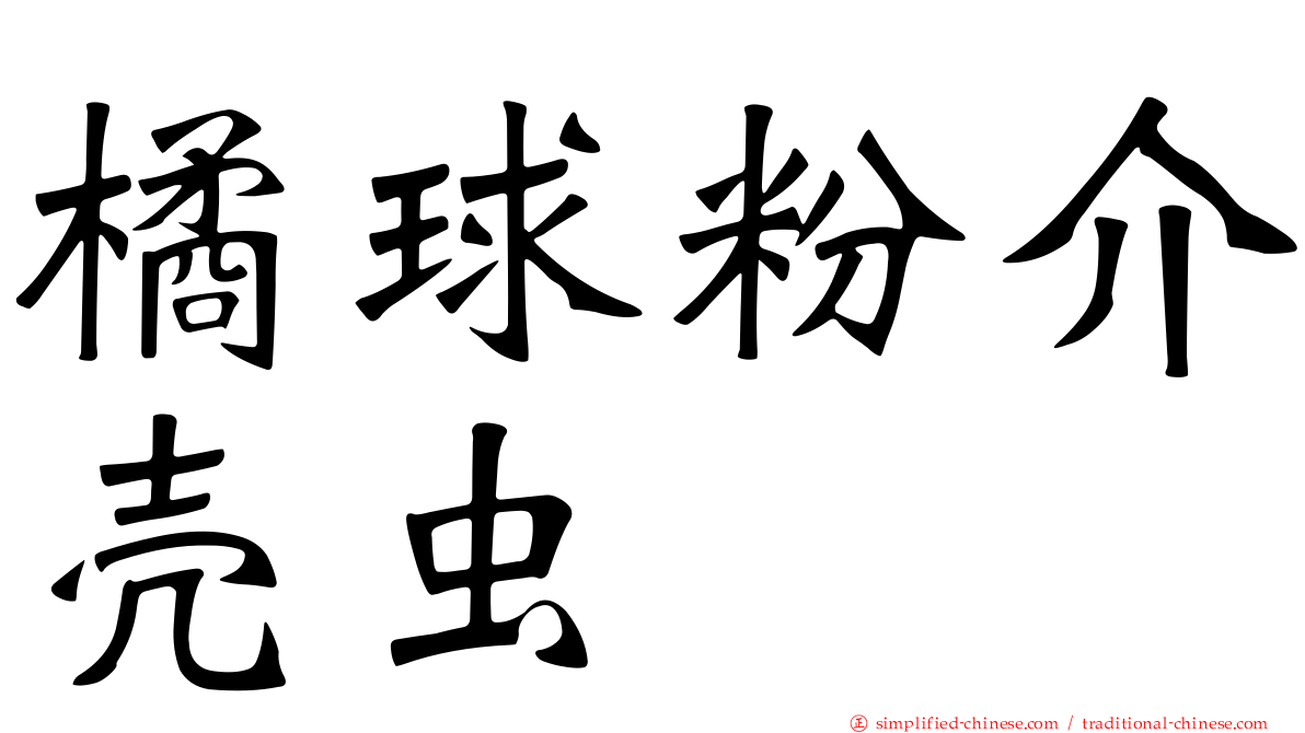 橘球粉介壳虫
