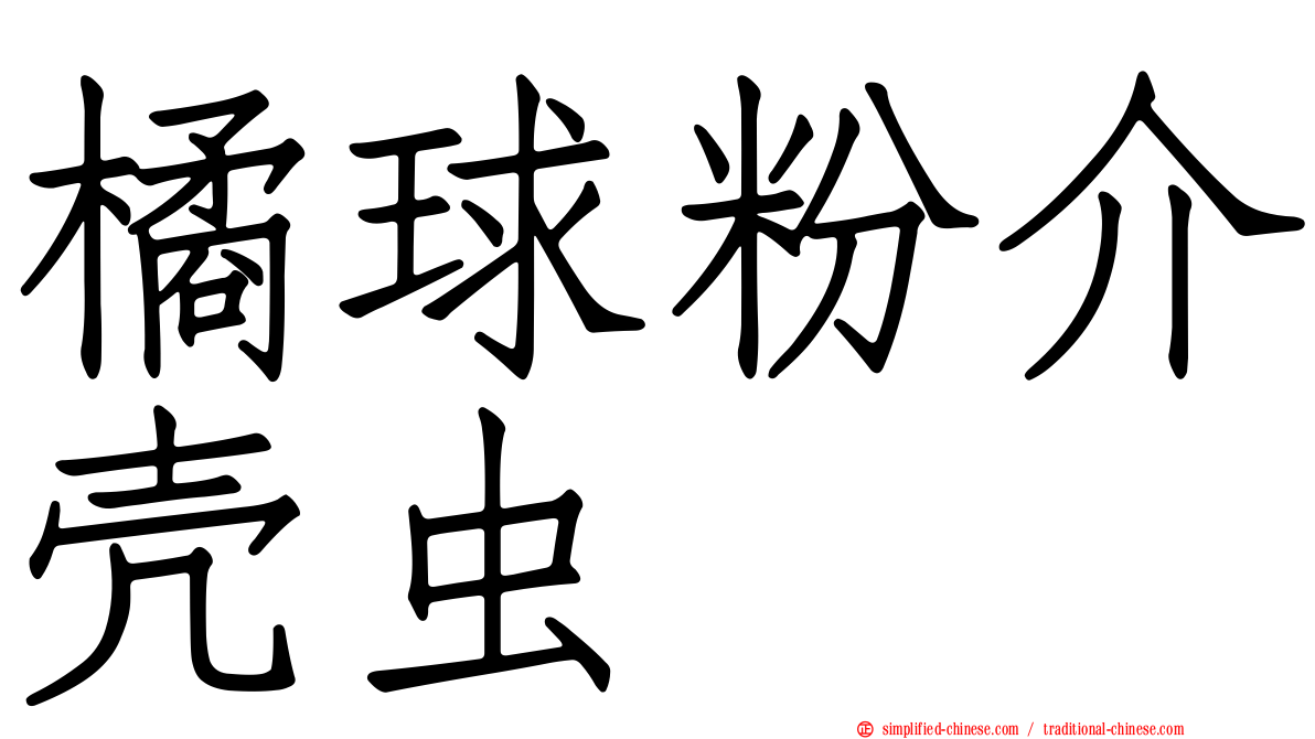 橘球粉介壳虫