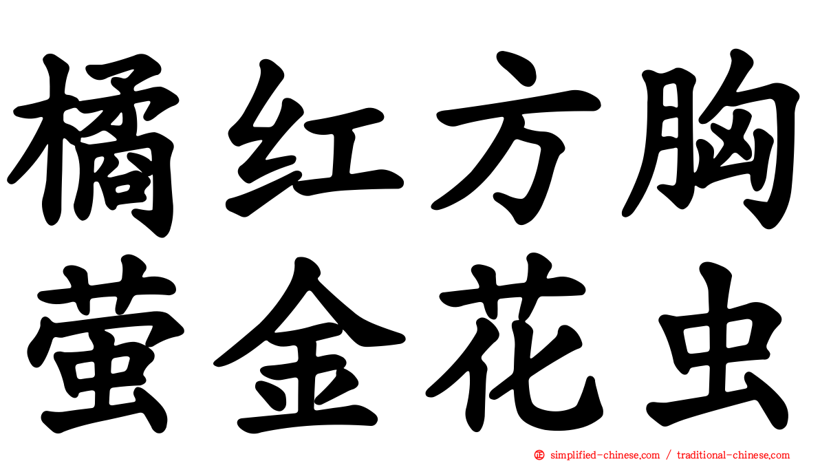 橘红方胸萤金花虫