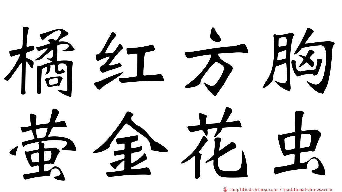 橘红方胸萤金花虫