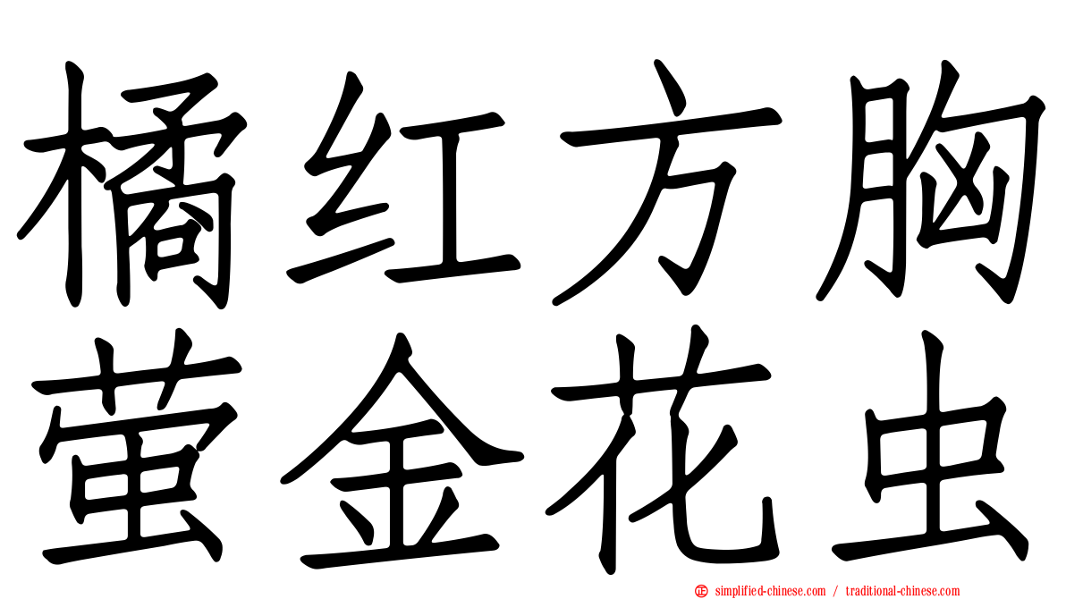 橘红方胸萤金花虫